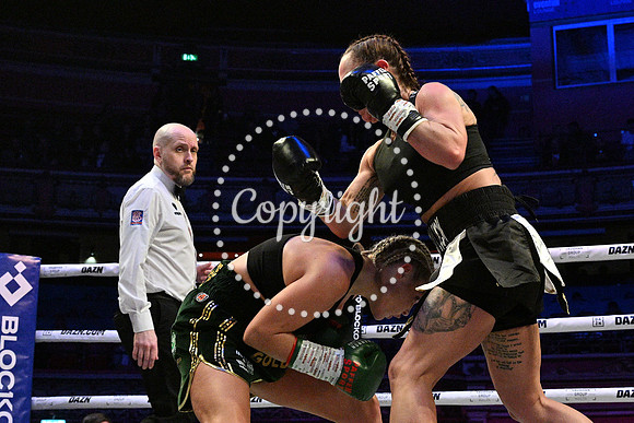 BK1_3353