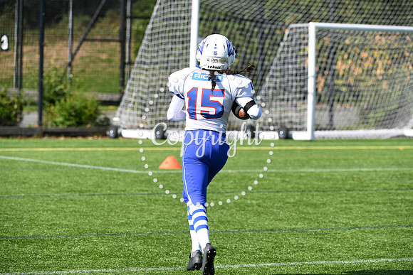 BAFA Finals 9928