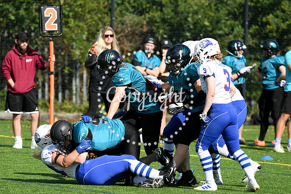 BAFA Finals 9911