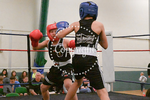 TS Boxing 0344