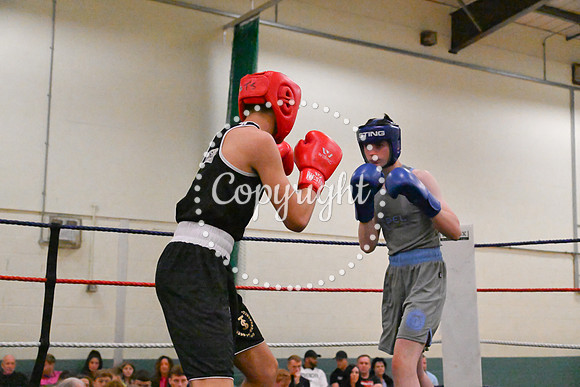TS Boxing 022