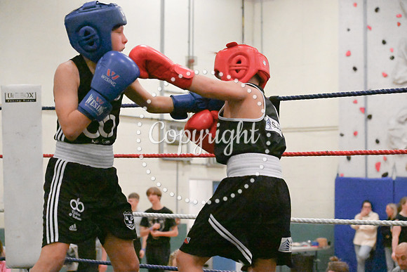 TS Boxing 0353