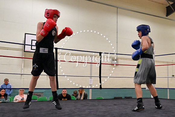 TS Boxing 218