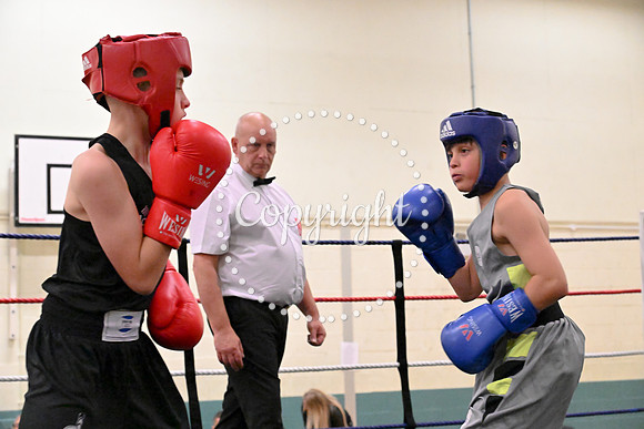 TS Boxing 198