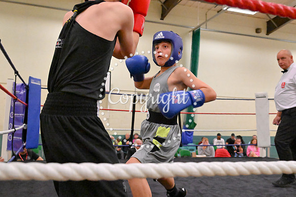 TS Boxing 265