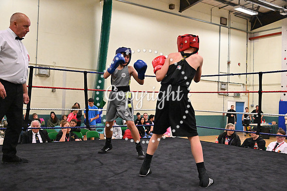 TS Boxing 321