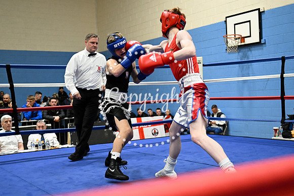 Z91_0241