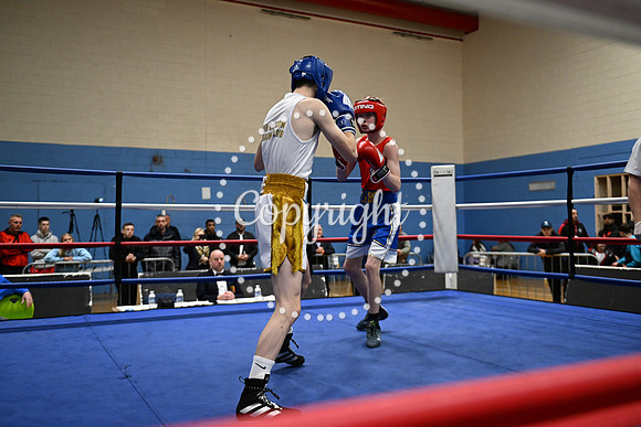 Z91_9278