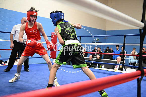 Z91_9874
