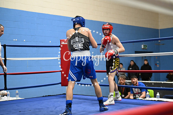 Z91_0347