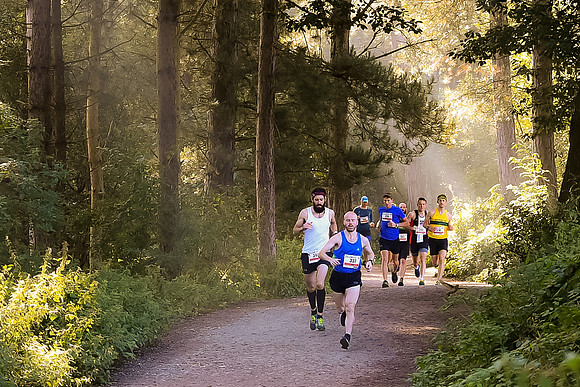 Forest Trails