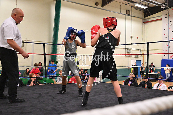 TS Boxing 320