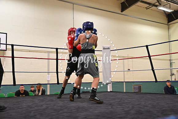 TS Boxing 223
