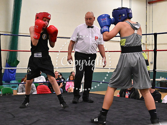 TS Boxing 310