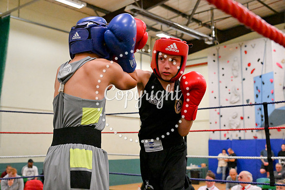 TS Boxing 279