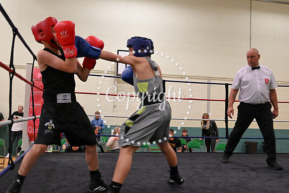 TS Boxing 201