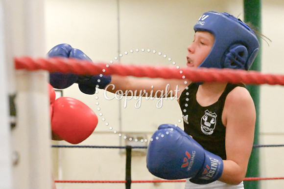 TS Boxing 0365