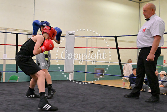 TS Boxing 214