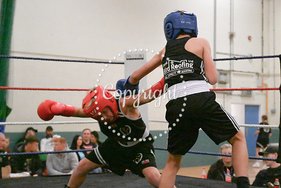 TS Boxing 0346