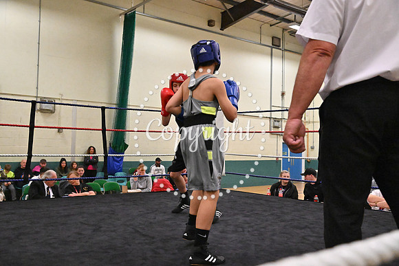 TS Boxing 252