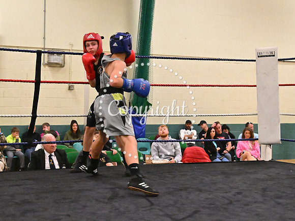 TS Boxing 314