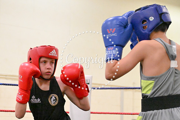 TS Boxing 213
