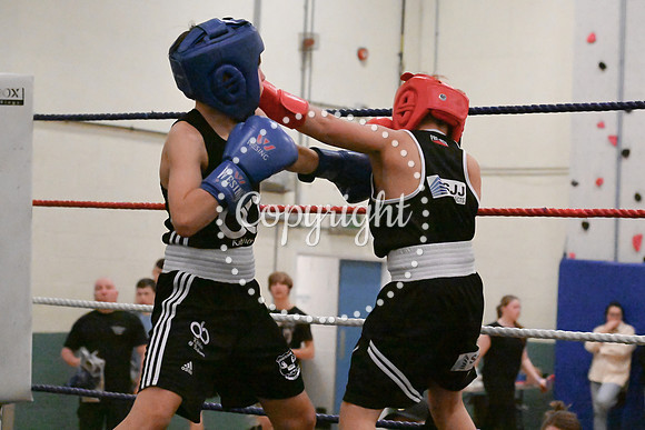 TS Boxing 0351