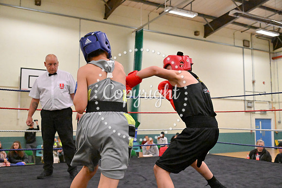 TS Boxing 278