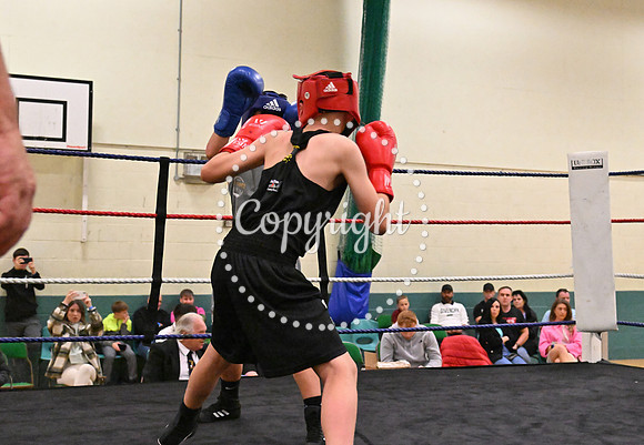 TS Boxing 291