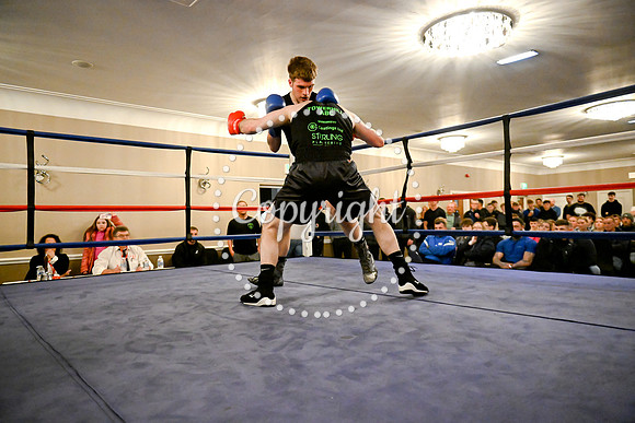 T11_5775