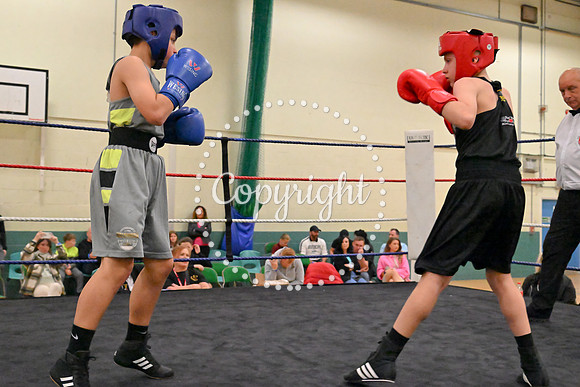 TS Boxing 255