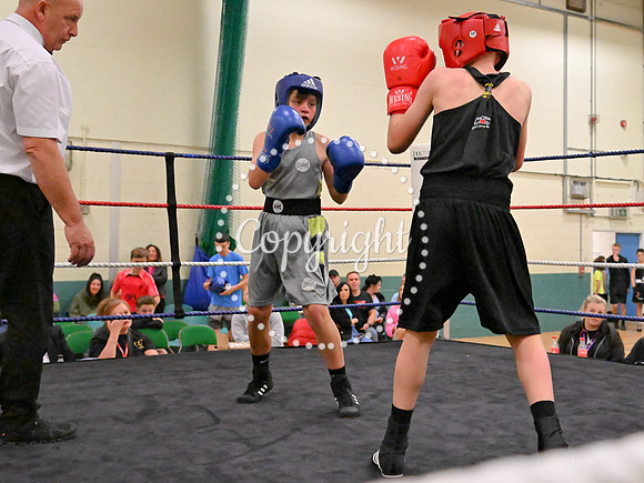 TS Boxing 319