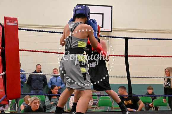 TS Boxing 205