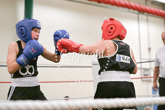 TS Boxing 0363