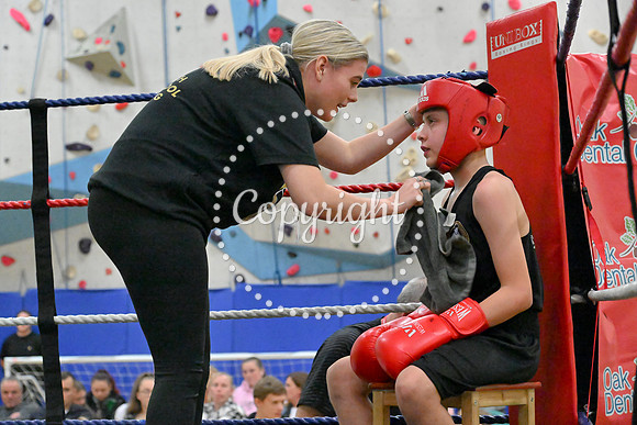 TS Boxing 283