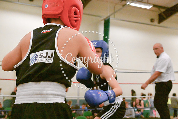 TS Boxing 0336