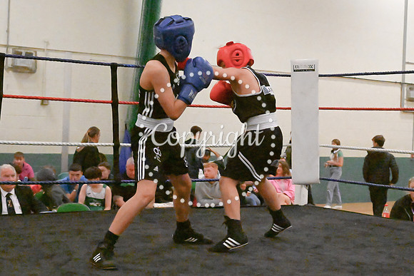 TS Boxing 0333