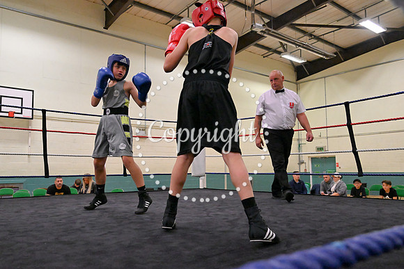 TS Boxing 229