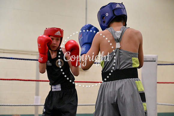 TS Boxing 208
