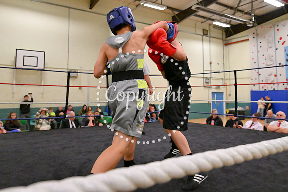 TS Boxing 275