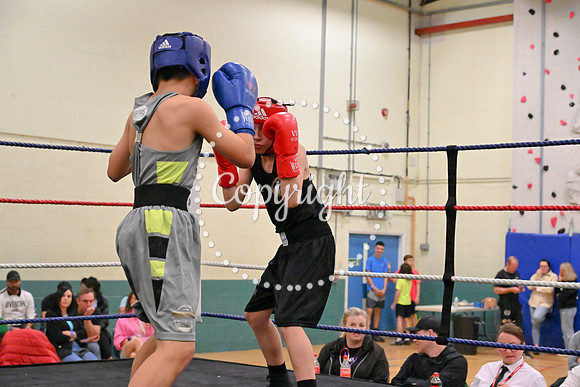 TS Boxing 247