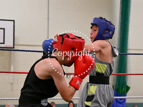 TS Boxing 303