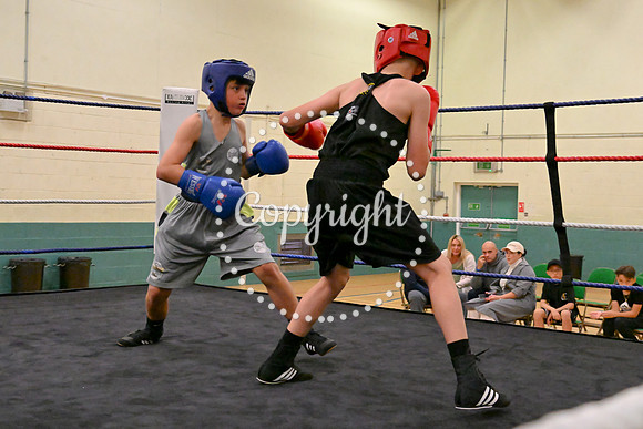TS Boxing 195