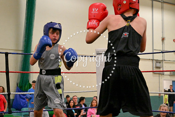 TS Boxing 318
