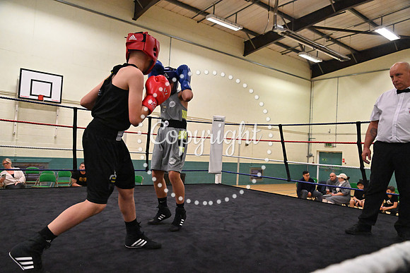 TS Boxing 234