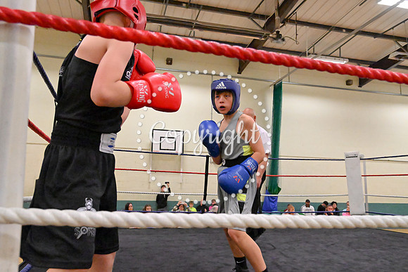 TS Boxing 269