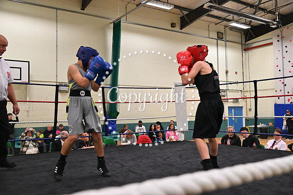 TS Boxing 261