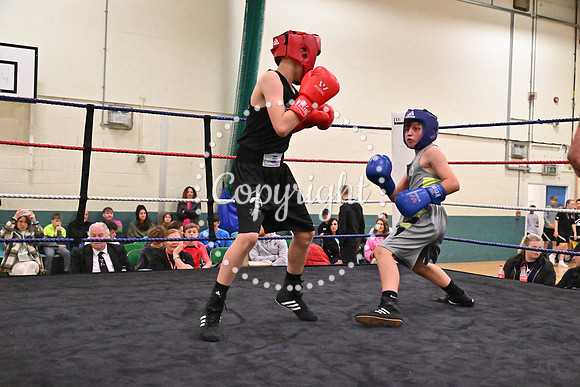 TS Boxing 330