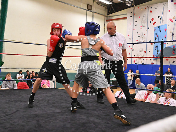TS Boxing 312