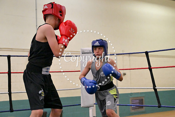 TS Boxing 197
